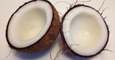 coconut 1771527 640