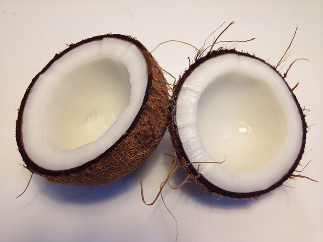 coconut 1771527 640